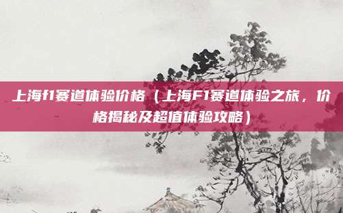 上海f1赛道体验价格(上海F1赛道体验之旅,价格揭秘及超值体验攻略)