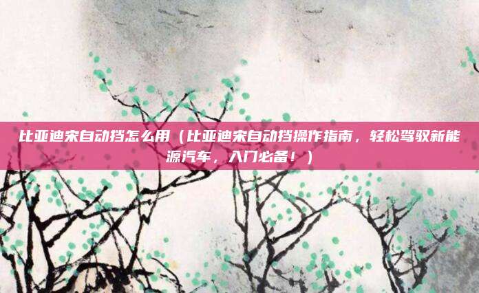 比亚迪宋自动挡怎么用（比亚迪宋自动挡操作指南，轻松驾驭新能源汽车，入门必备！）
