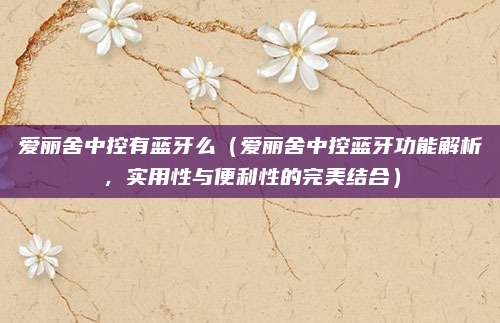 爱丽舍中控有蓝牙么（爱丽舍中控蓝牙功能解析，实用性与便利性的完美结合）