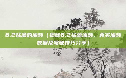 6.2猛禽的油耗（揭秘6.2猛禽油耗，真实油耗数据及驾驶技巧分享）