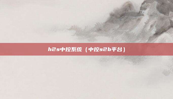 h2s中控系统(中控s2b平台)