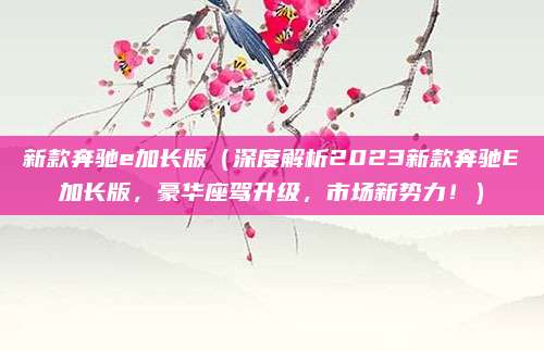 新款奔驰e加长版(深度解析2023新款奔驰E加长版,豪华座驾升级,市场新势力!)