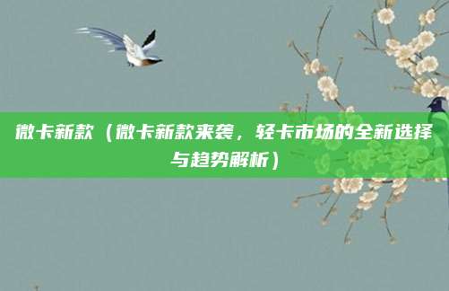 微卡新款（微卡新款来袭，轻卡市场的全新选择与趋势解析）