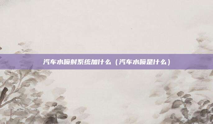 汽车水喷射系统加什么(汽车水喷是什么)