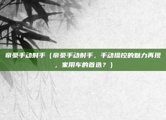 帝豪手动射手（帝豪手动射手，手动操控的魅力再现，家用车的首选？）