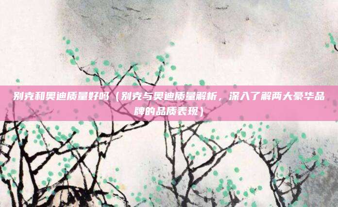 别克和奥迪质量好吗（别克与奥迪质量解析，深入了解两大豪华品牌的品质表现）