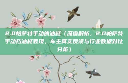 2.0帕萨特手动的油耗（深度解析，2.0帕萨特手动挡油耗表现，车主真实反馈与行业数据对比分析）
