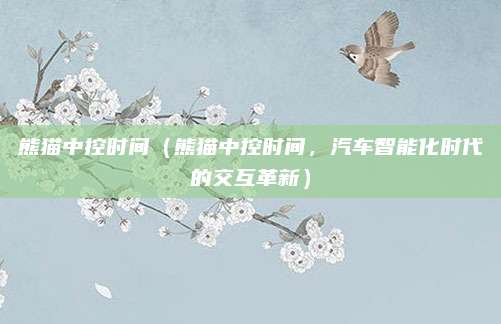 熊猫中控时间（熊猫中控时间，汽车智能化时代的交互革新）