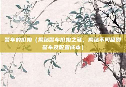 警车的价格（揭秘警车价格之谜，揭秘不同级别警车及配置成本）