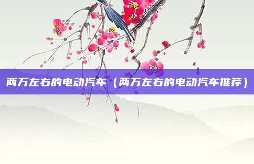 两万左右的电动汽车(两万左右的电动汽车推荐)