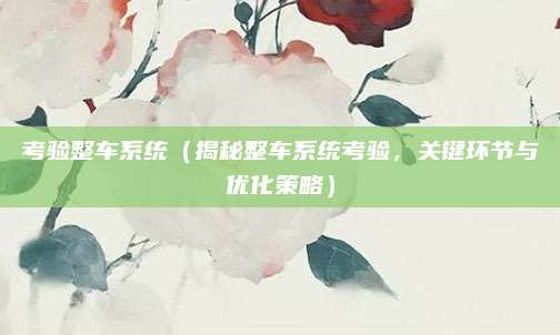 考验整车系统(揭秘整车系统考验,关键环节与优化策略)
