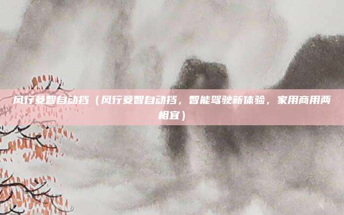 风行菱智自动挡（风行菱智自动挡，智能驾驶新体验，家用商用两相宜）