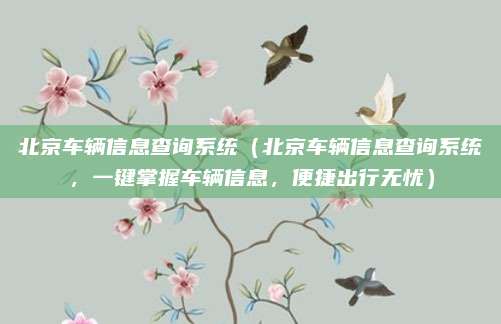 北京车辆信息查询系统（北京车辆信息查询系统，一键掌握车辆信息，便捷出行无忧）