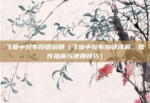 飞度中控车按键说明（飞度中控车按键详解，操作指南与使用技巧）