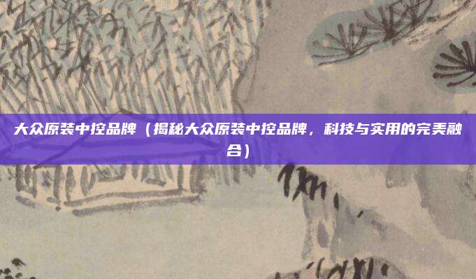 大众原装中控品牌（揭秘大众原装中控品牌，科技与实用的完美融合）