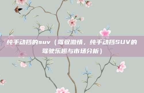 纯手动挡的suv（驾驭激情，纯手动挡SUV的驾驶乐趣与市场分析）