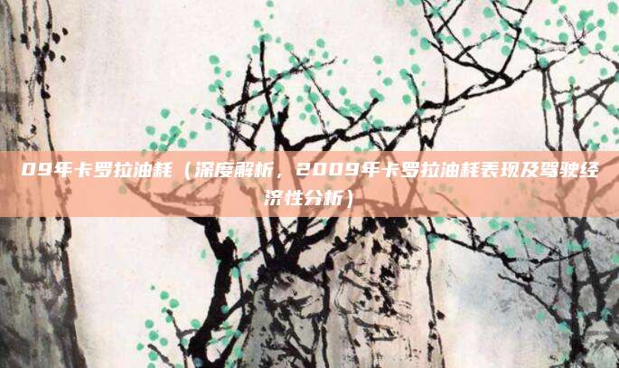 09年卡罗拉油耗（深度解析，2009年卡罗拉油耗表现及驾驶经济性分析）