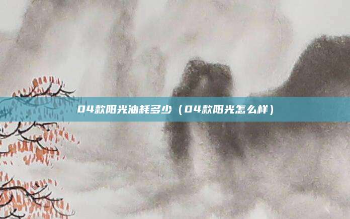 04款阳光油耗多少(04款阳光怎么样)