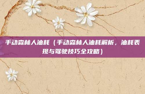 手动森林人油耗（手动森林人油耗解析，油耗表现与驾驶技巧全攻略）