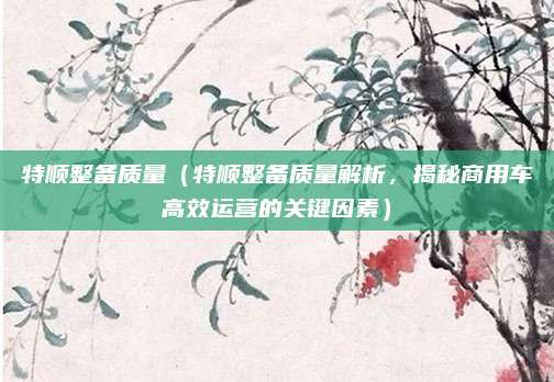 特顺整备质量（特顺整备质量解析，揭秘商用车高效运营的关键因素）
