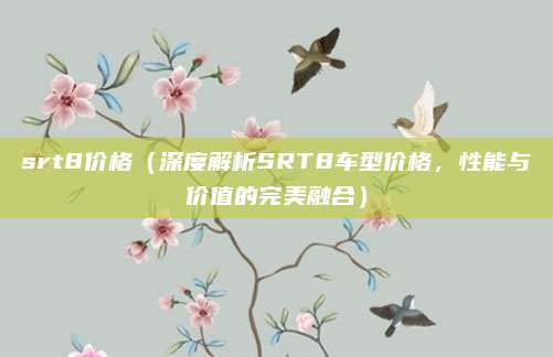 srt8价格(深度解析SRT8车型价格,性能与价值的完美融合)