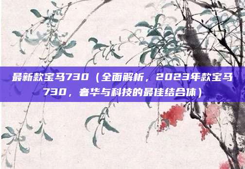 最新款宝马730（全面解析，2023年款宝马730，奢华与科技的最佳结合体）