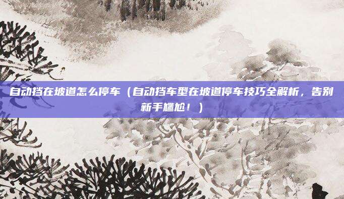 自动挡在坡道怎么停车(自动挡车型在坡道停车技巧全解析,告别新手尴尬!)