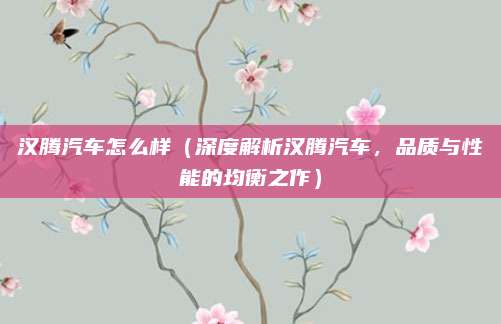 汉腾汽车怎么样（深度解析汉腾汽车，品质与性能的均衡之作）