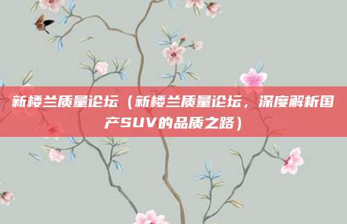 新楼兰质量论坛（新楼兰质量论坛，深度解析国产SUV的品质之路）