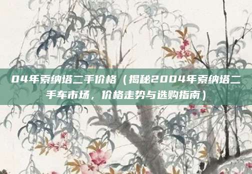 04年索纳塔二手价格（揭秘2004年索纳塔二手车市场，价格走势与选购指南）
