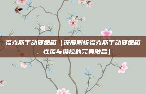 福克斯手动变速箱(深度解析福克斯手动变速箱,性能与操控的完美融合)