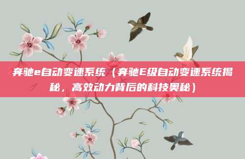 奔驰e自动变速系统（奔驰E级自动变速系统揭秘，高效动力背后的科技奥秘）