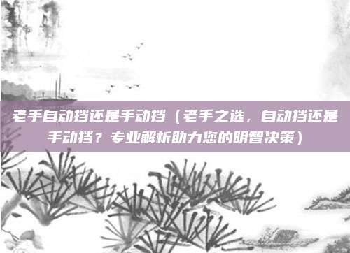 老手自动挡还是手动挡（老手之选，自动挡还是手动挡？专业解析助力您的明智决策）