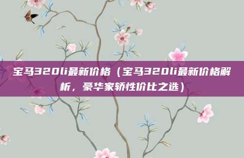 宝马320li最新价格（宝马320li最新价格解析，豪华家轿性价比之选）