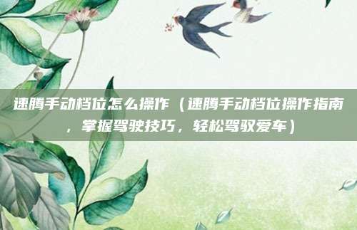 速腾手动档位怎么操作（速腾手动档位操作指南，掌握驾驶技巧，轻松驾驭爱车）