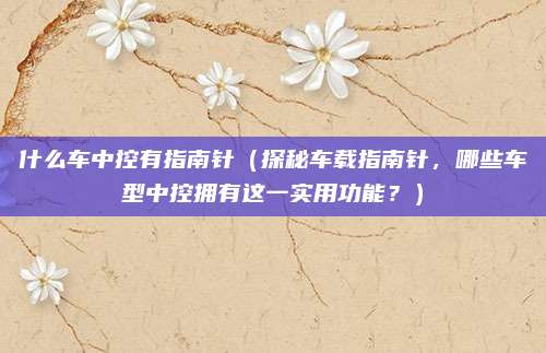 什么车中控有指南针（探秘车载指南针，哪些车型中控拥有这一实用功能？）