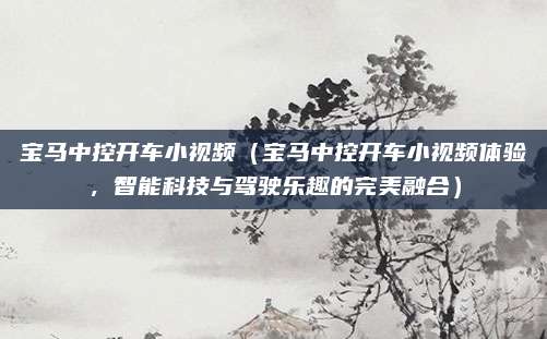 宝马中控开车小视频（宝马中控开车小视频体验，智能科技与驾驶乐趣的完美融合）