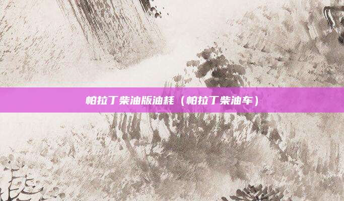 帕拉丁柴油版油耗(帕拉丁柴油车)
