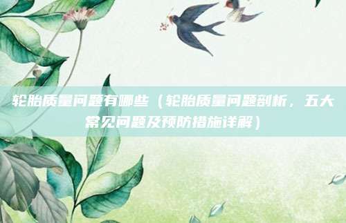 轮胎质量问题有哪些（轮胎质量问题剖析，五大常见问题及预防措施详解）