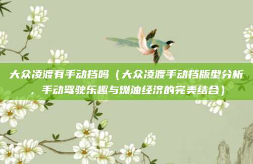 大众凌渡有手动挡吗(大众凌渡手动挡版型分析,手动驾驶乐趣与燃油经济的完美结合)