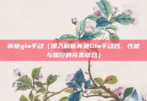 奔驰gla手动（深入解析奔驰Gla手动挡，性能与操控的完美结合）