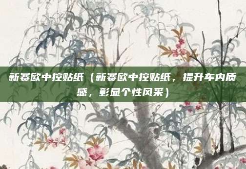 新赛欧中控贴纸(新赛欧中控贴纸,提升车内质感,彰显个性风采)