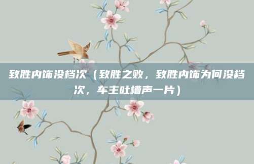 致胜内饰没档次(致胜之败,致胜内饰为何没档次,车主吐槽声一片)