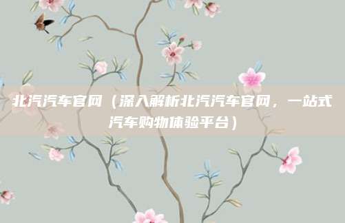北汽汽车官网（深入解析北汽汽车官网，一站式汽车购物体验平台）