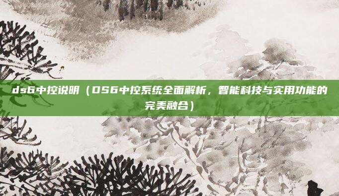 ds6中控说明（DS6中控系统全面解析，智能科技与实用功能的完美融合）