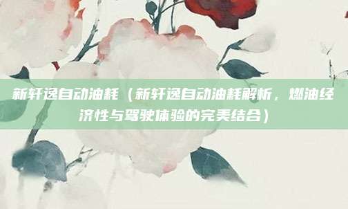 新轩逸自动油耗（新轩逸自动油耗解析，燃油经济性与驾驶体验的完美结合）