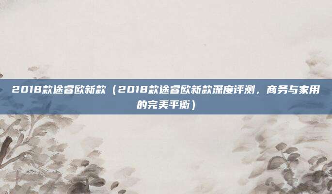 2018款途睿欧新款（2018款途睿欧新款深度评测，商务与家用的完美平衡）