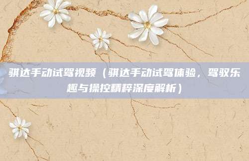 骐达手动试驾视频(骐达手动试驾体验,驾驭乐趣与操控精粹深度解析)