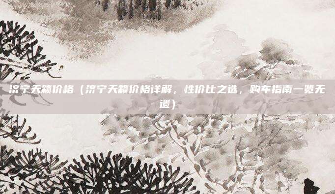 济宁天籁价格(济宁天籁价格详解,性价比之选,购车指南一览无遗)