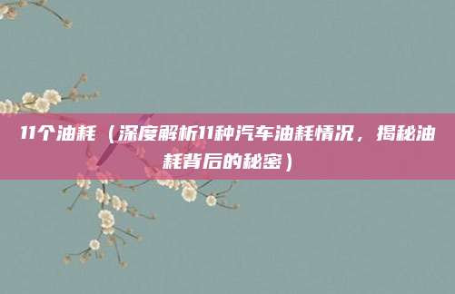 11个油耗（深度解析11种汽车油耗情况，揭秘油耗背后的秘密）